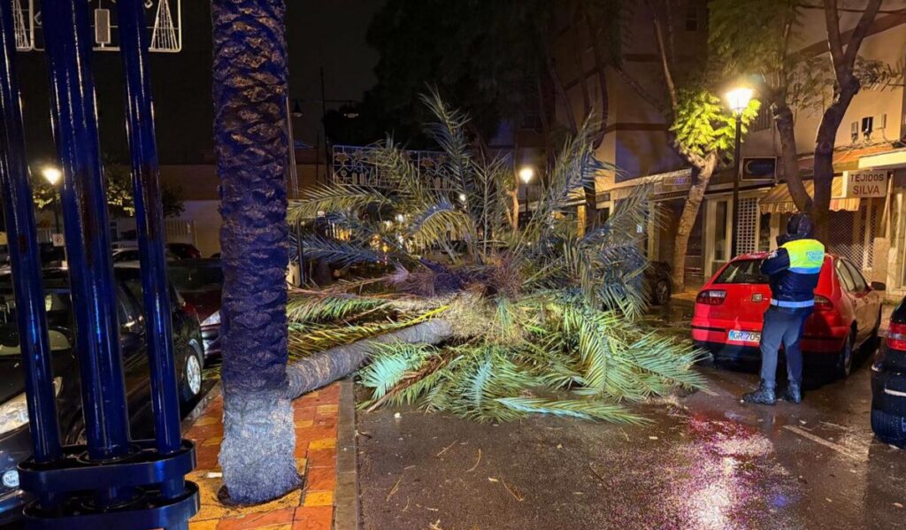 Roads blocked by fallen trees.