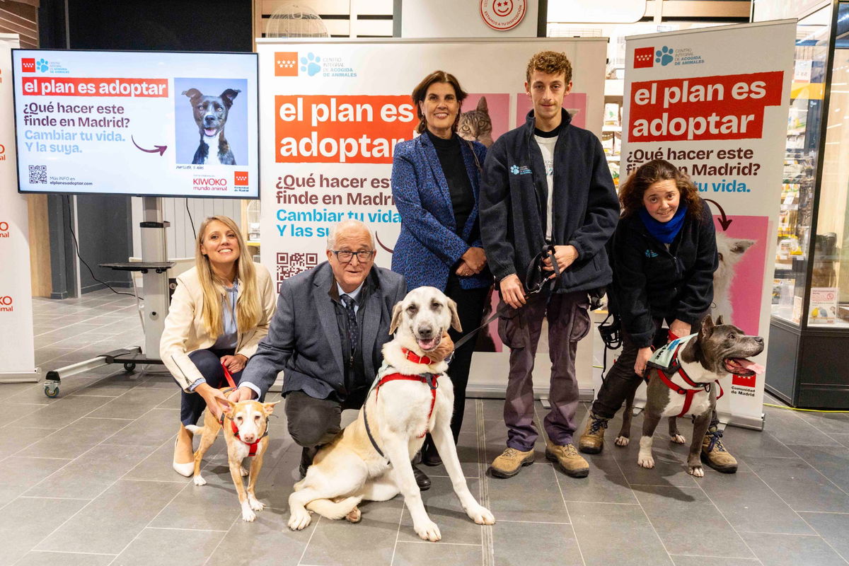 Madrid promotes responsible pet ownership through El Plan es Adoptar