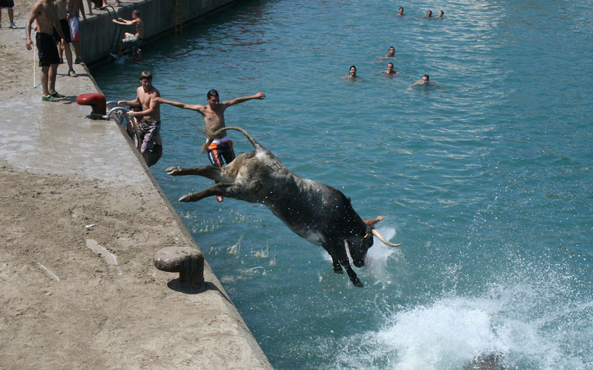 Why Bous A La Mar (“bulls To The Sea”) Is Sparking National Controversy