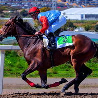 Still from Mijas Hippodrome.