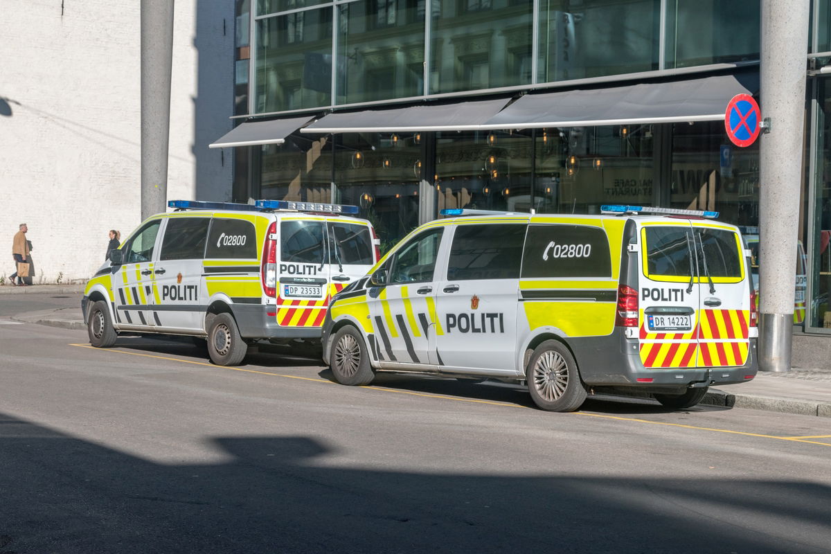 Oslo shopping centre shooting chaos: Shoppers flee teenager with shotgun and baseball bat