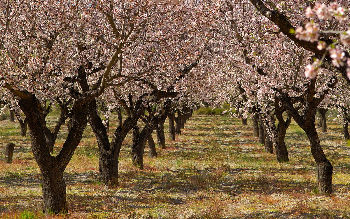 euroweeklynews.com - Santiago Carneri - Feslal&iacute;, the festival with focus on sustainability and local farming