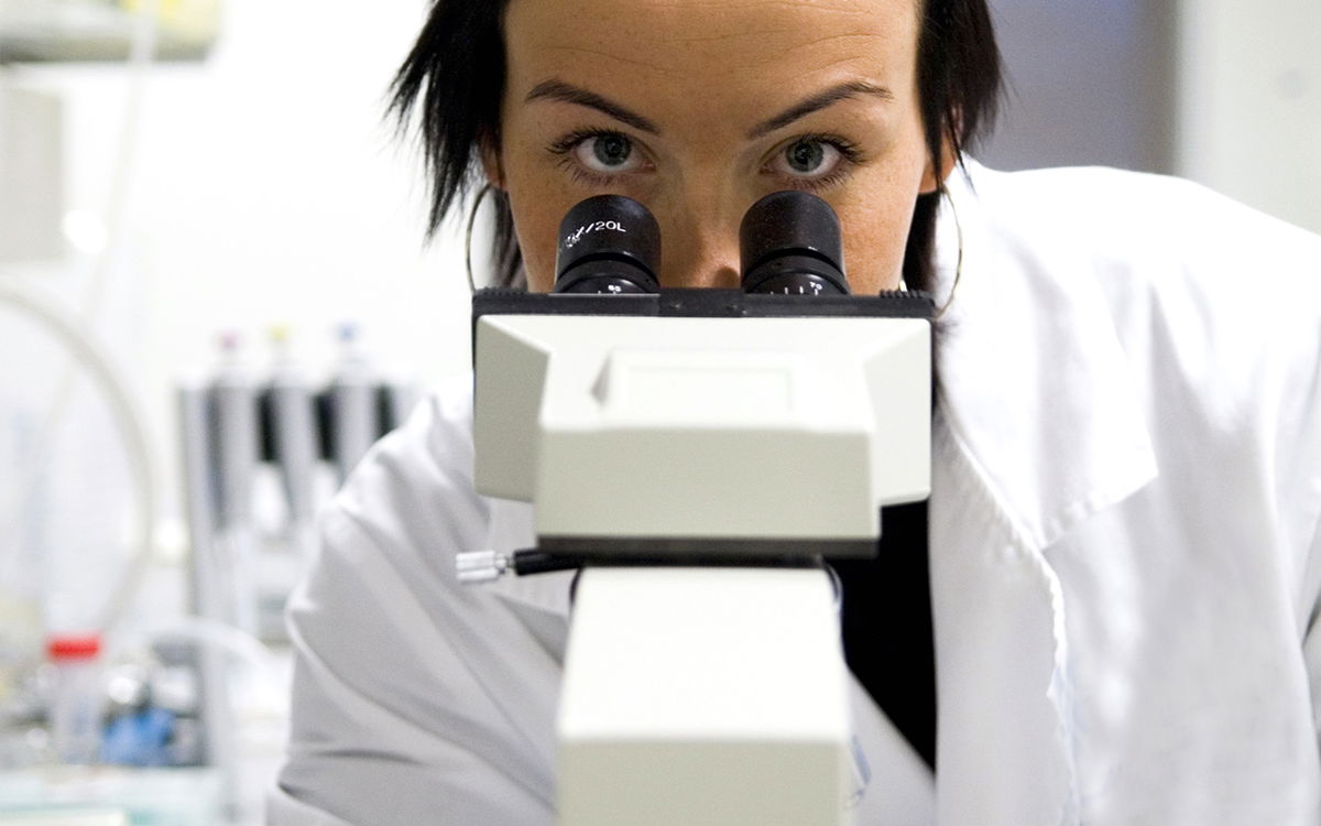 Foreign self-employed workers drive small business growth in the Costa Blanca