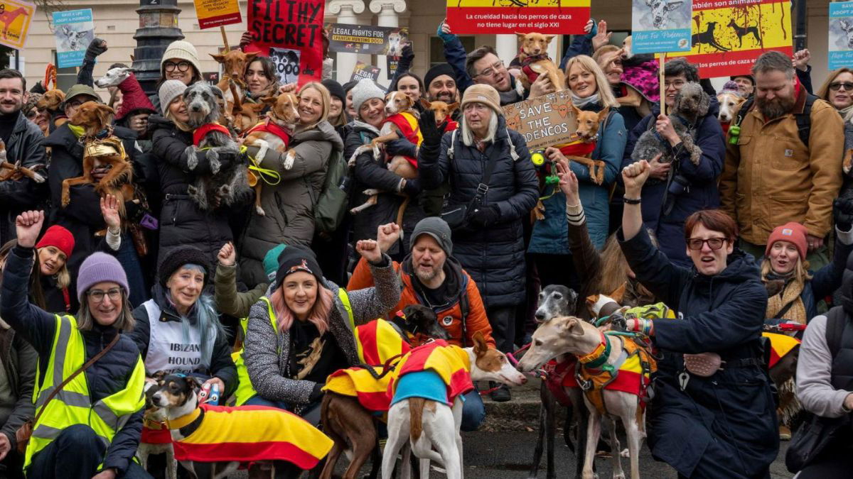 Campaigners across the UK protest Spain’s treatment of hunting dogs