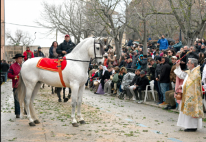 Priest blesses horse 