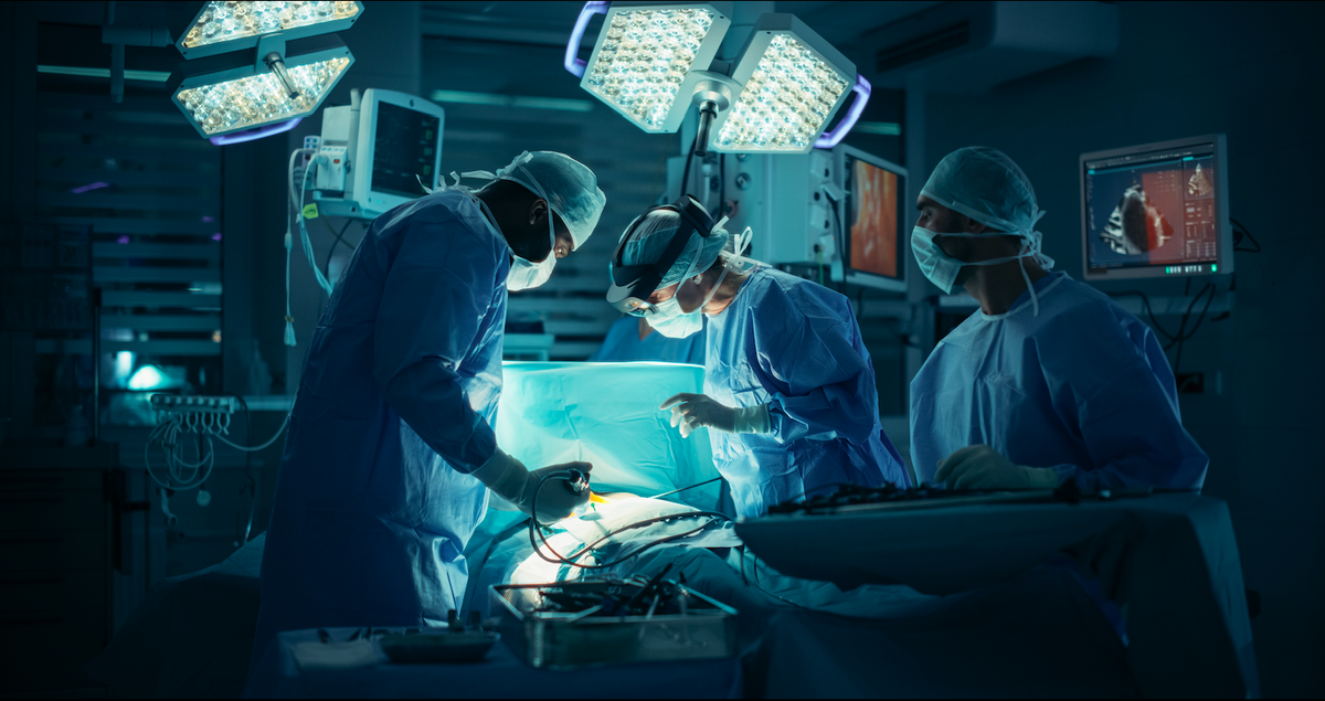 Spain exceeds 6,300 organ transplants for second year running