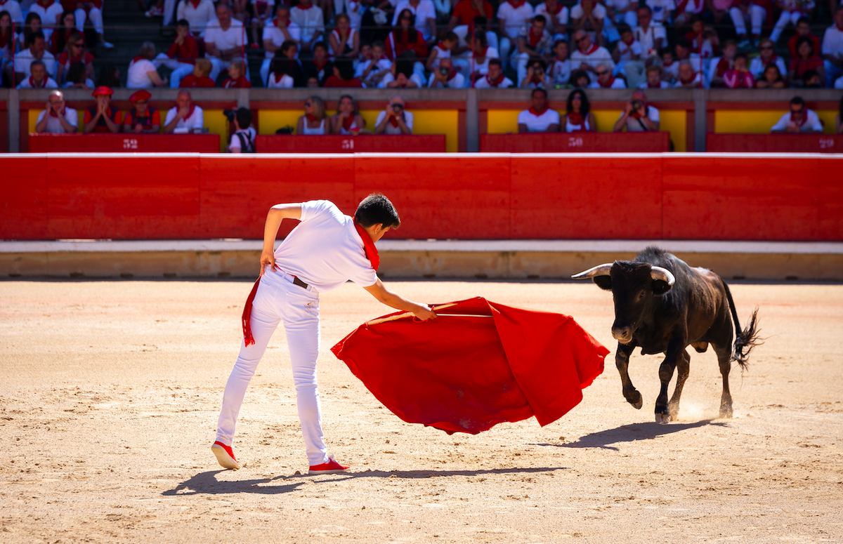Minors in bullfighting: UN calls on Spain for explanation