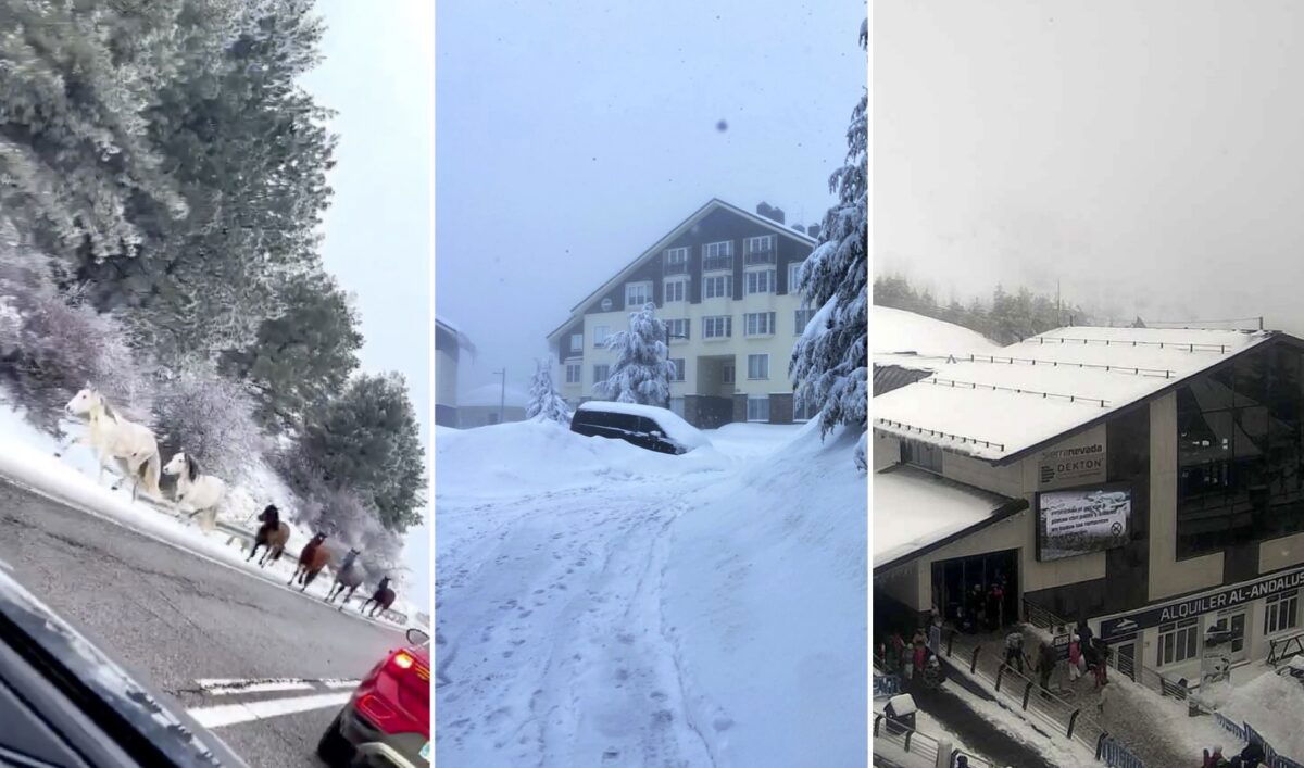 Ingrid’s impact: Hundreds of cars stuck in snow as much of Sierra Nevada closed due to poor visibility