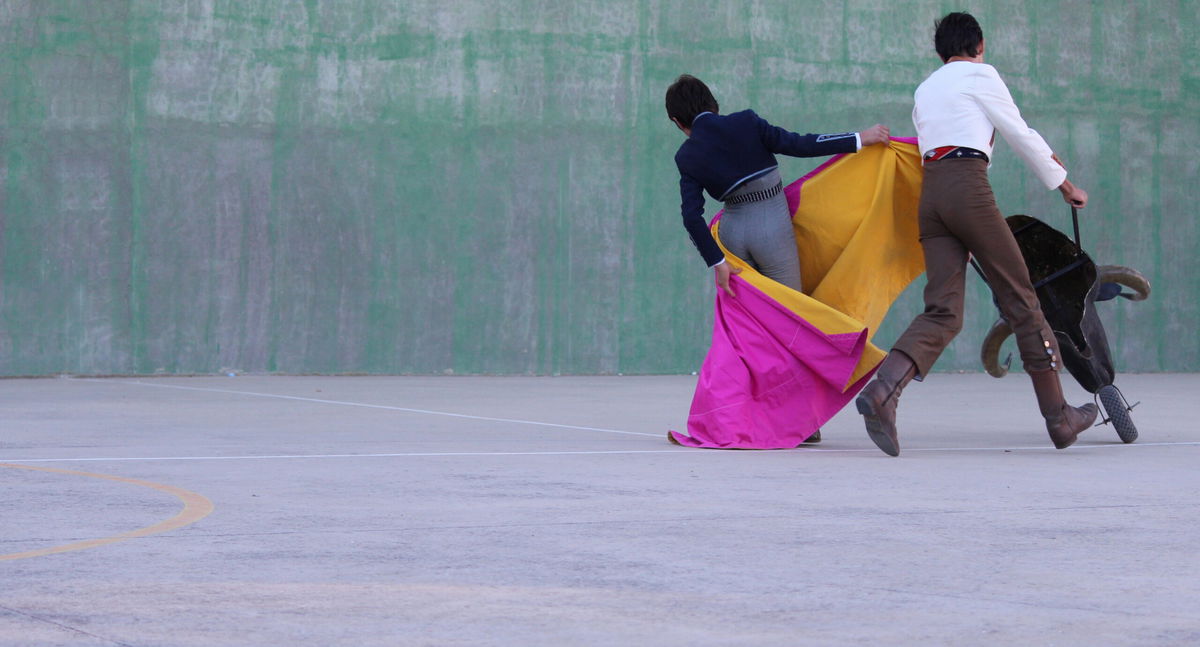 Spain proposes ban on minors attending bullfights and violent animal events