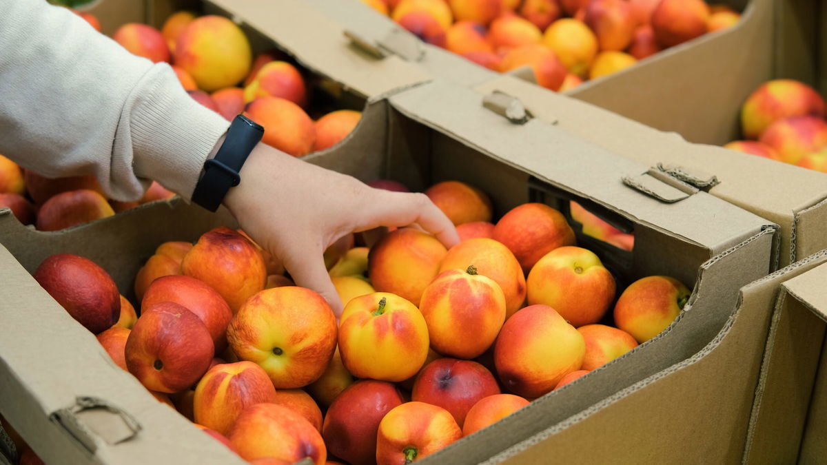 EU flags Spanish nectarines over excess insecticide levels