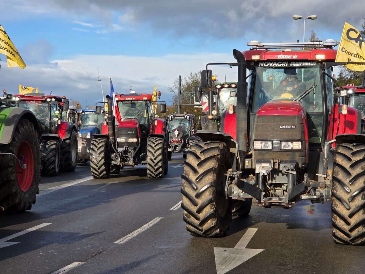 After 25 years of talks, EU finally approves Mercosur trade deal