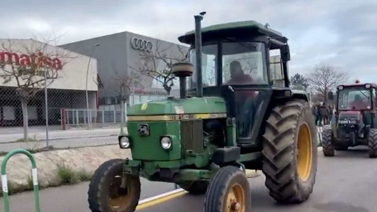 Mallorca farmers protest in Palma against EU agricultural policies