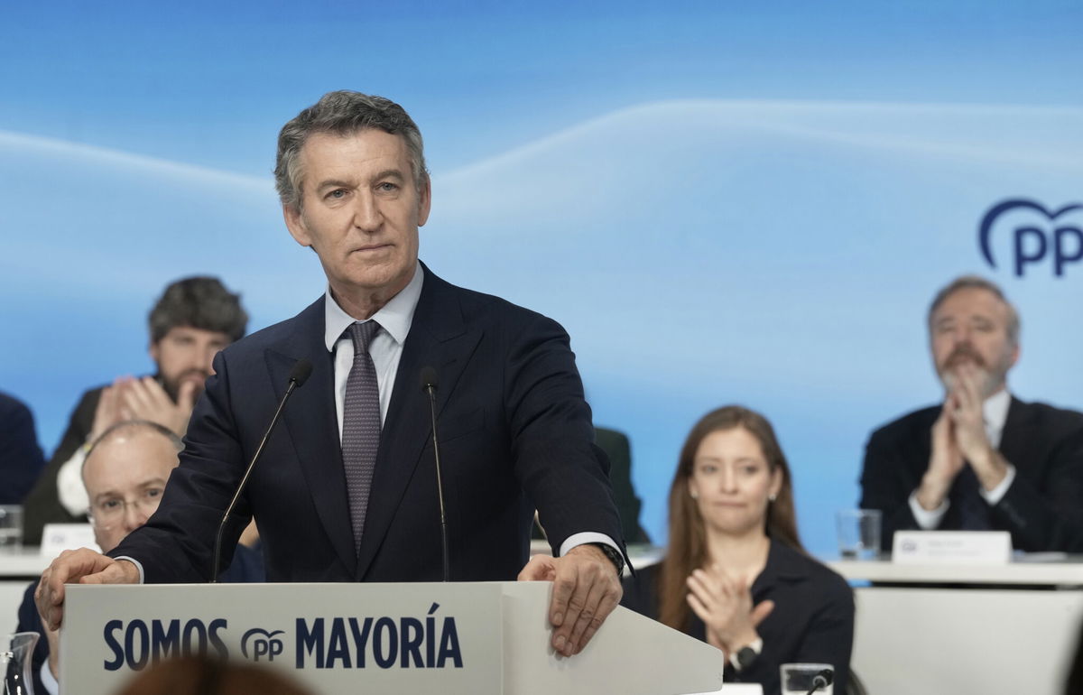 Spain opposition leader Feijóo calls for early elections