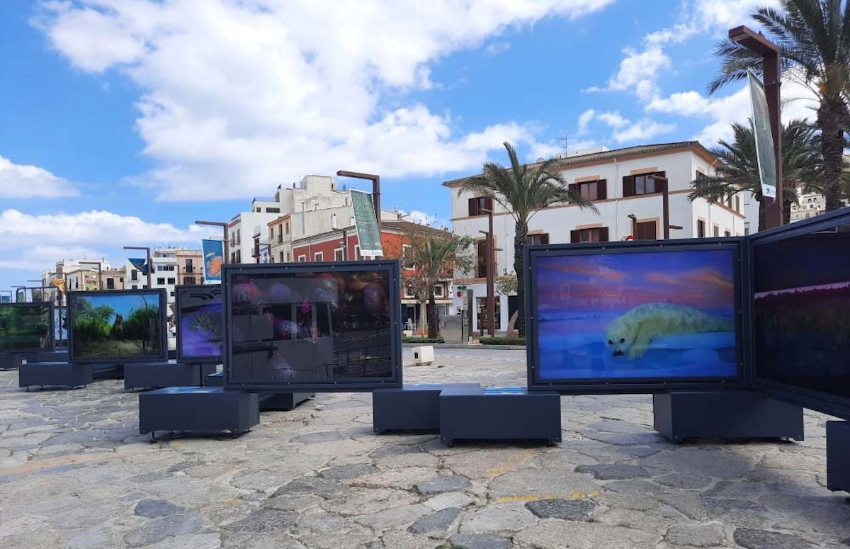National Geographic’s ‘Colours’ captivate Orihuela in travelling exhibition