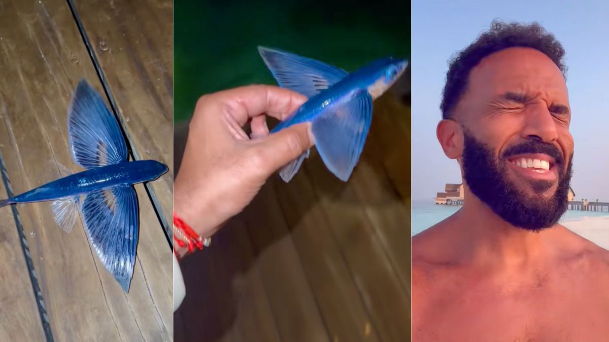 Craig David’s epic fish fail – have you seen the viral video?