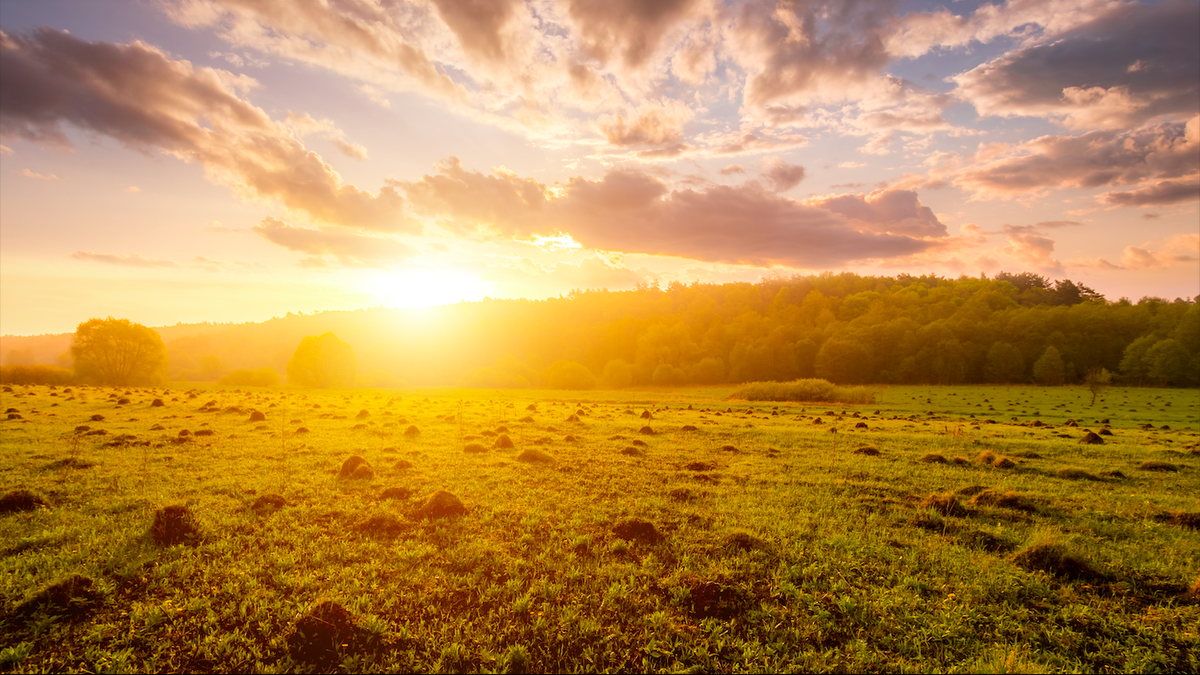 Relief in Sight: Spain’s weeks of torrential rain may be coming to an end