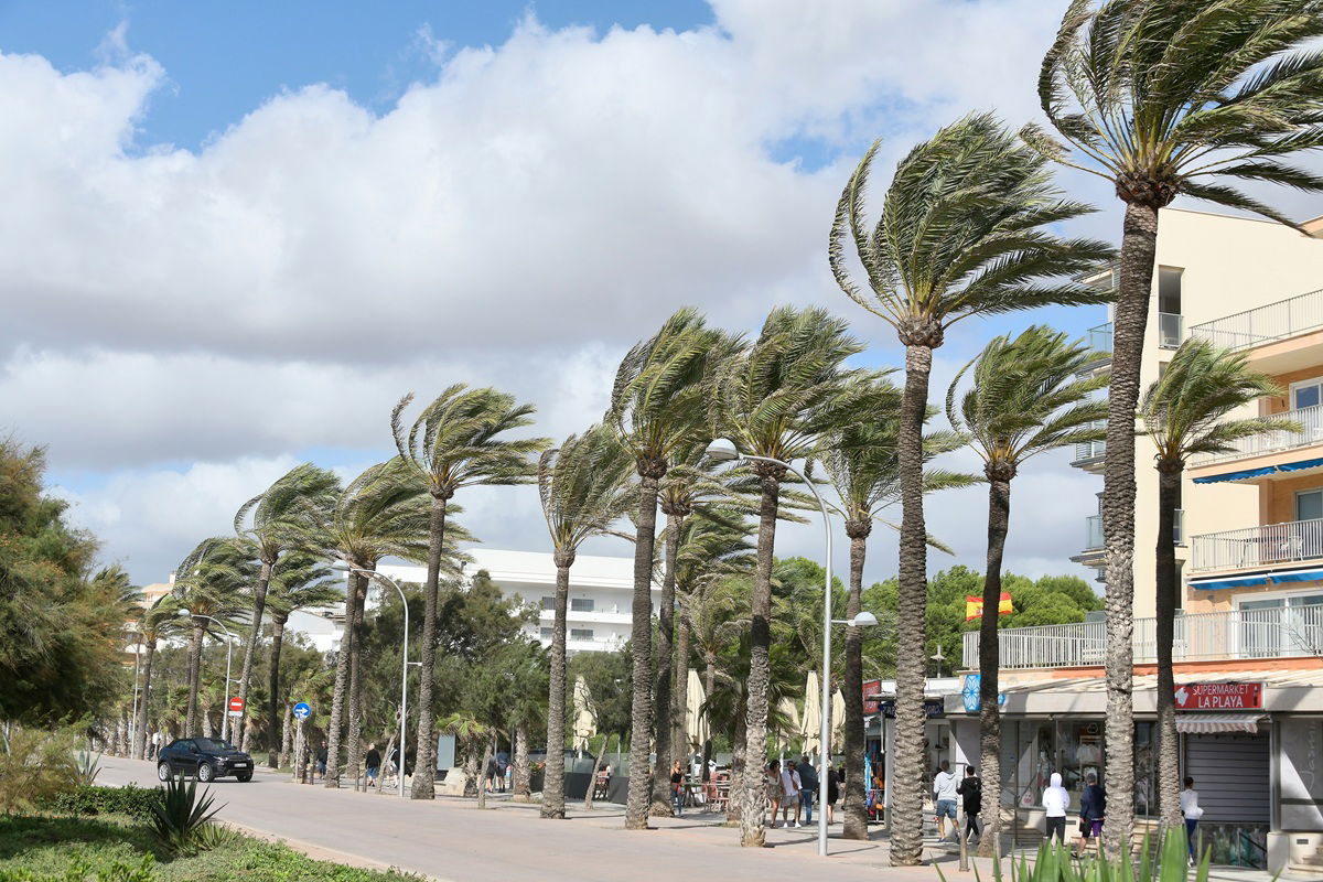 Castellón wind speeds hit 172 km/h after AEMET forecast 100 km/h: What happened in Spain’s latest storm