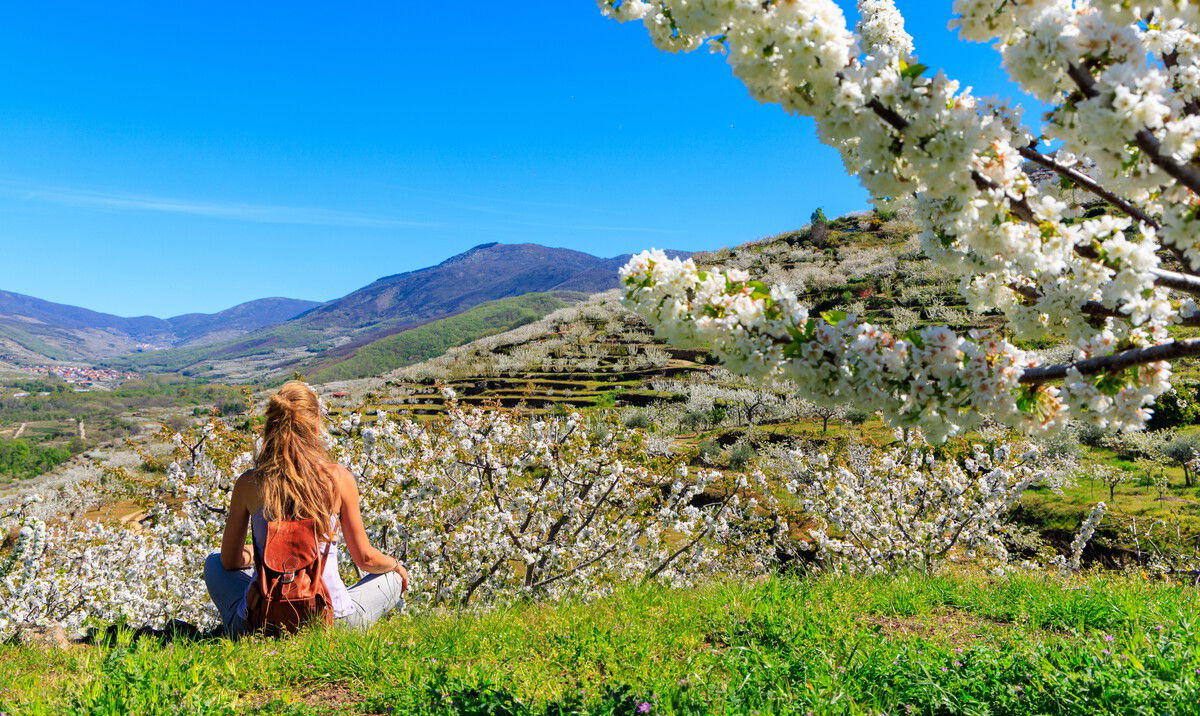The most beautiful places to see spring blossom in Spain right now