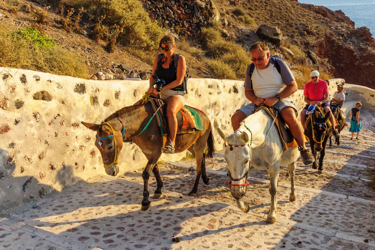 Greece sets weight limit on donkey rides as tourism debate heats up