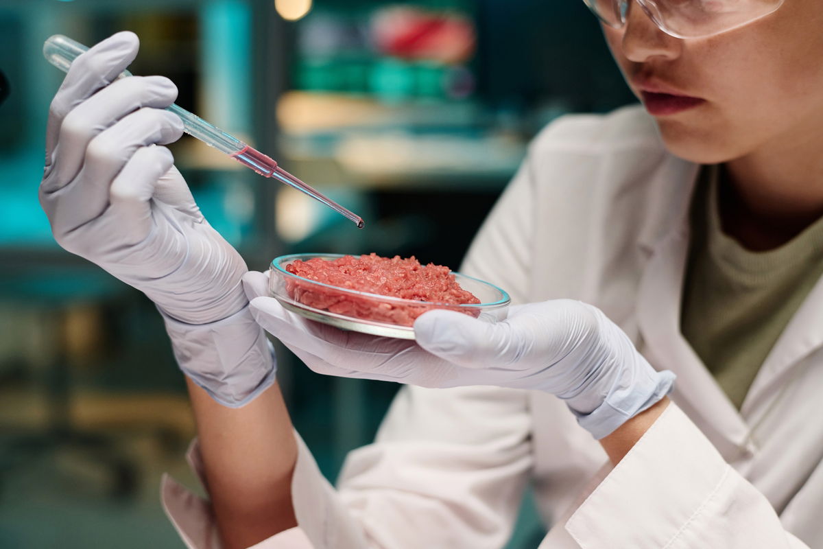 Which European countries have banned lab-grown meat, and why?