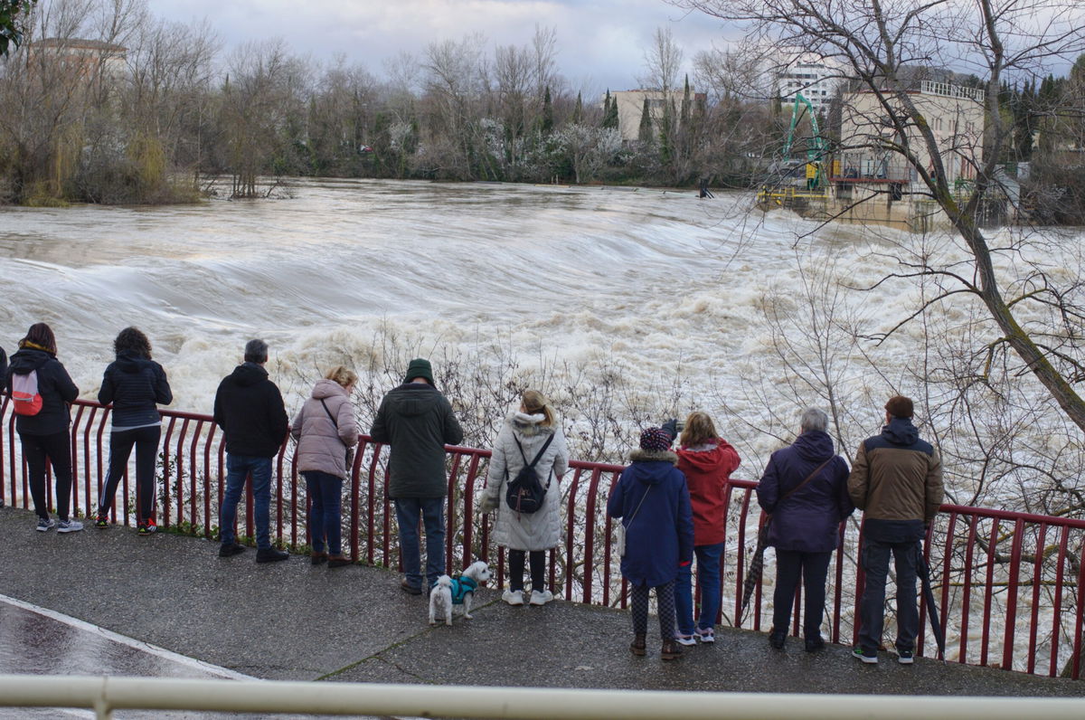 Rivers at breaking point in Spain: Sevilla, Granada and Madrid brace for flooding