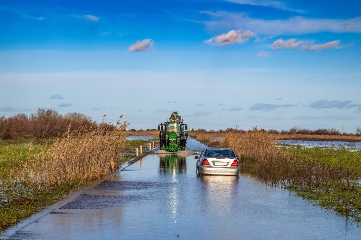 Farmers report “catastrophic” crop damage as Storm Marta batters Spain