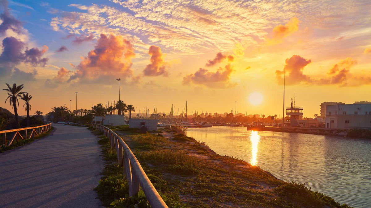 Guardamar launches youth employment and park renovation programmes