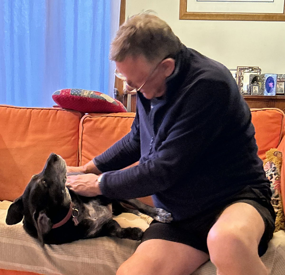 Find pet-sitters to care for your pets – Try HouseSitMatch