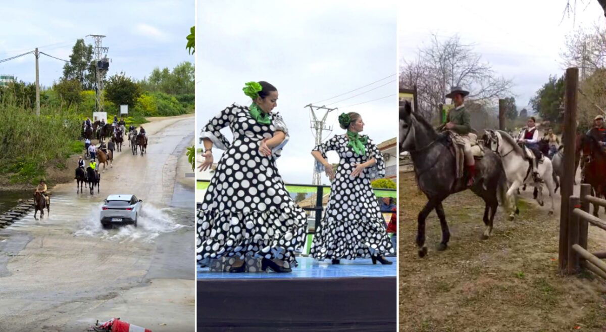 Over 60 horses participated in an community equestrian excursion along the banks of the Gomenaro River in Mijas