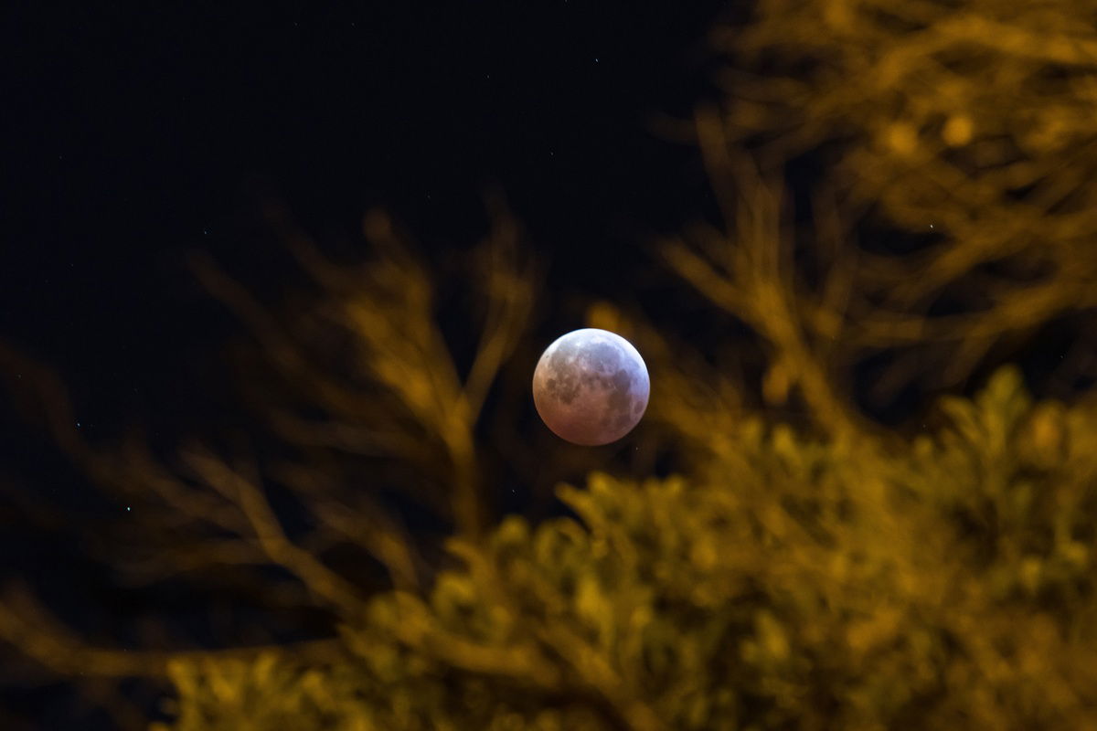 March 2026 lunar eclipse: When and how to see it in Spain